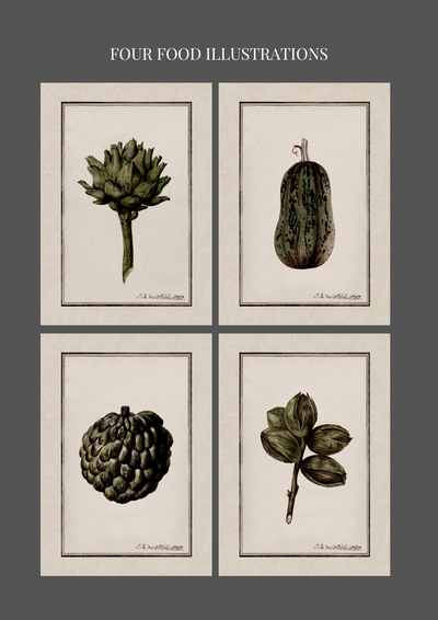 Set of four plants