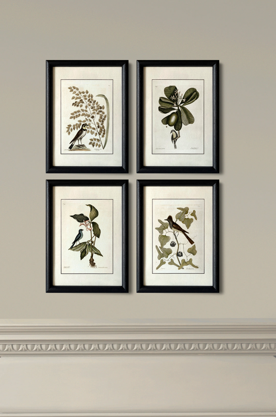 Framed Art Set No: 001.004 - Musee Home